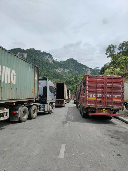 國際物流熱門問題回答